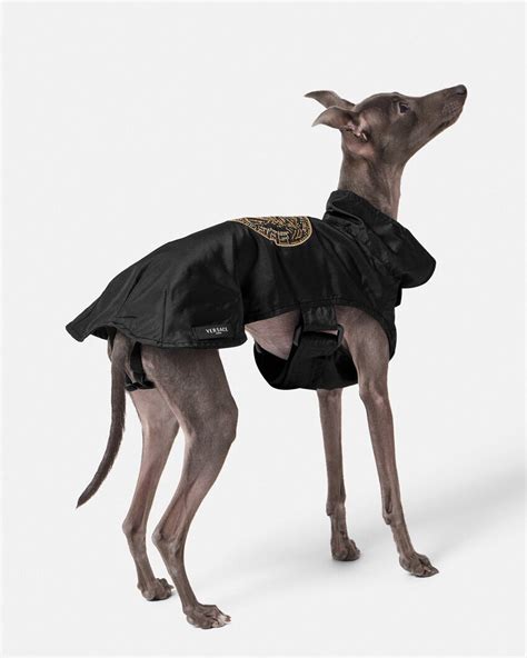 versace dog jacket|Crystal Medusa Small Pet Raincoat .